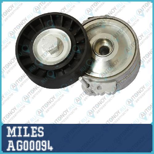Натяжитель ремня приводного Peugeot 406/PARTNER/Ford FOCUS II 2.0 D (INA 534011020) AG00094