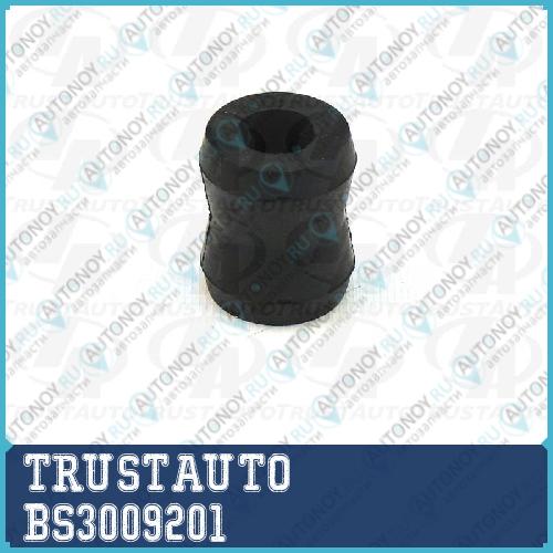 Неоригинальная запчастb BS3009201