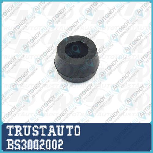 Неоригинальная запчастb BS3002002