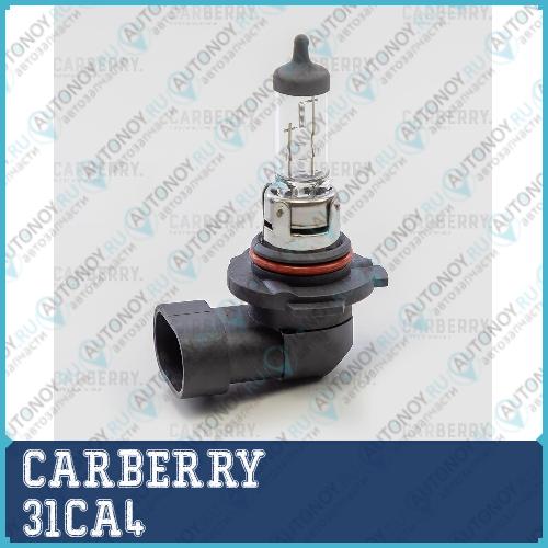 Лампа H10 12V (42W) Day&Night 31CA4