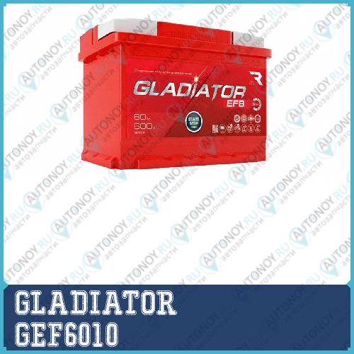 Аккумулятор GLADIATOR EFB 24V 60Ah 600A (+-) 242x175x190 прямая