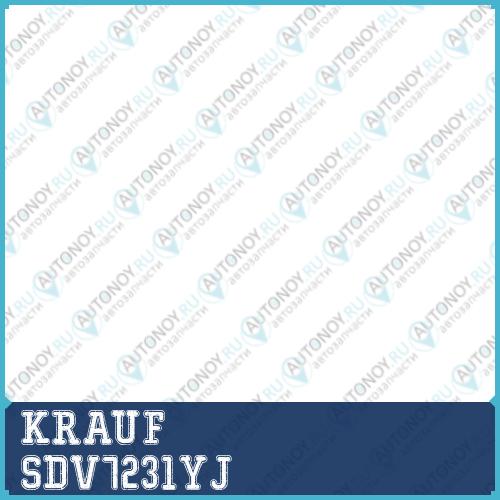 Бендикс стартера SDV7231YJ