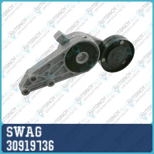 Натяжитель ремня приводного Audi A4 (B5) VW Passat (B5) Skoda Superb 1.6-2.0 (-05) 30919736 (1)
