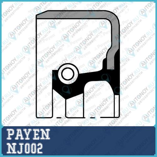 Сальник 38x74x11.5  Payen NJ002