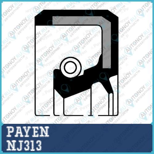 Сальник 29x45x8 Payen NJ313
