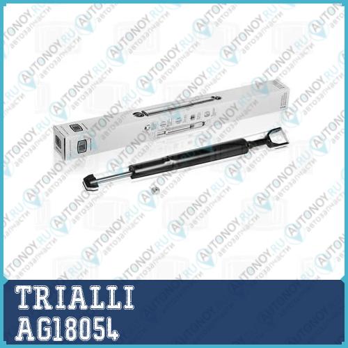 Амортизатор Audi A6 04-  (стойка) перед. газ.  AG18054