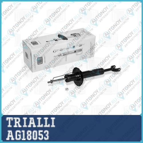 Амортизатор Audi A4 94-  (стойка) перед. газ.  AG18053