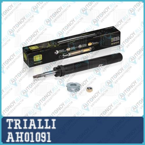 Амортизатор ВАЗ 2110  (картридж) пер. масл.  AH01091