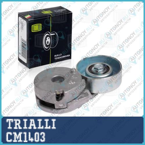 Ролик генер. с натяж. мех.Nissan Qashqai (06-)/X-Trail (07-) CM1403