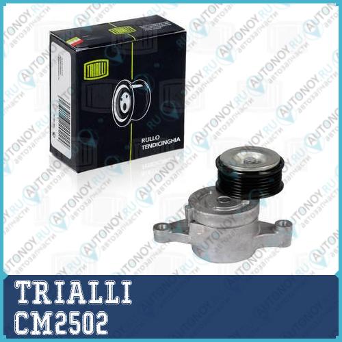 Ролик привод. ремня с натяж. мех. Mazda 3 (03-) 1.4/1.6 (CM 2502)