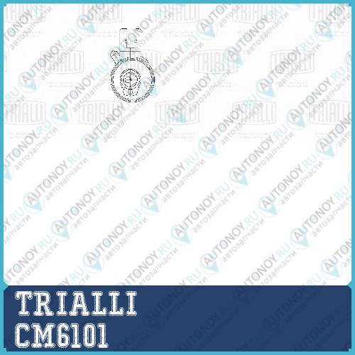 Ролик Грм натяж. для ам Volvo S80 (98-) 2.83.0 (CM 6101)