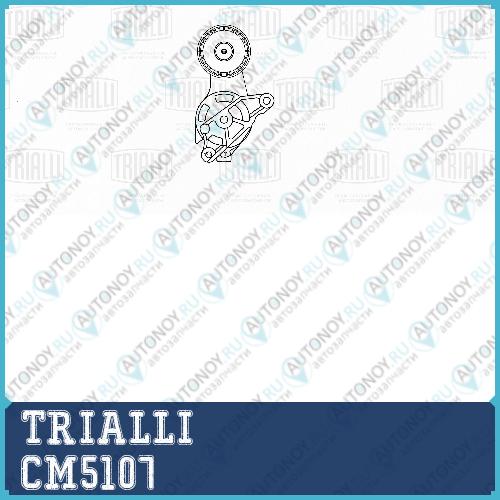 Ролик привод. ремня с натяж. мех. для ам VW Passat (05-) 2.0d (CM 5107)