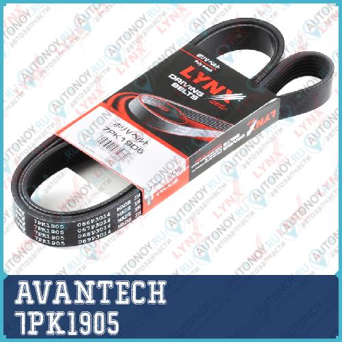 Ремень поликлиновый AVANTECH 7PK1905