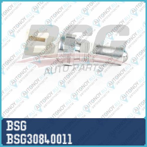 Датчик BSG30840011