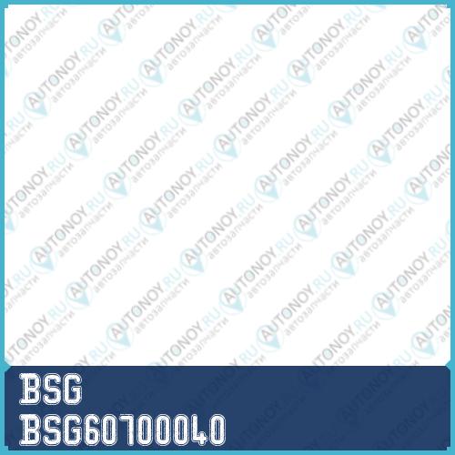 Втулка стабилизатора BSG60700040