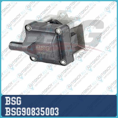 Катушка зажигания BSG90835003