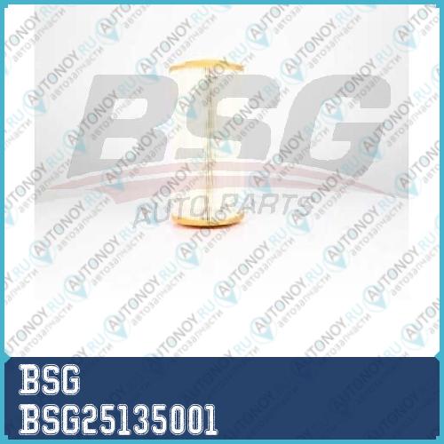 Фильтр воздушный BSG25135001