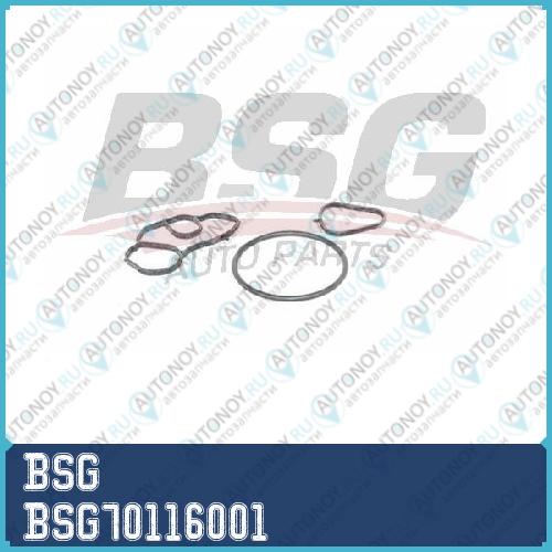 Прокладка масляного фильтра BSG70116001