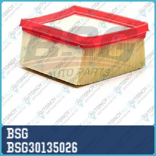 Фильтр воздушный BSG30135026