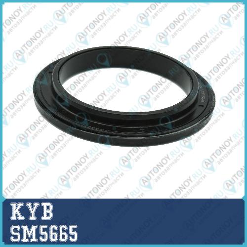 Комплект верхней опоры SM5665