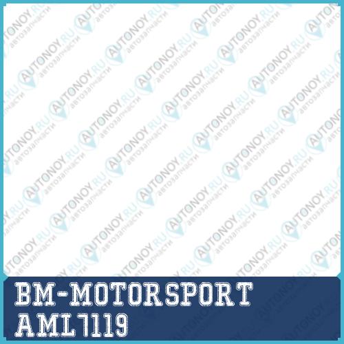 Подшипник передней ступицы с ABS (88 магнитов) AML 7119 Logan Sandero Megane 9 11 18 21 205309