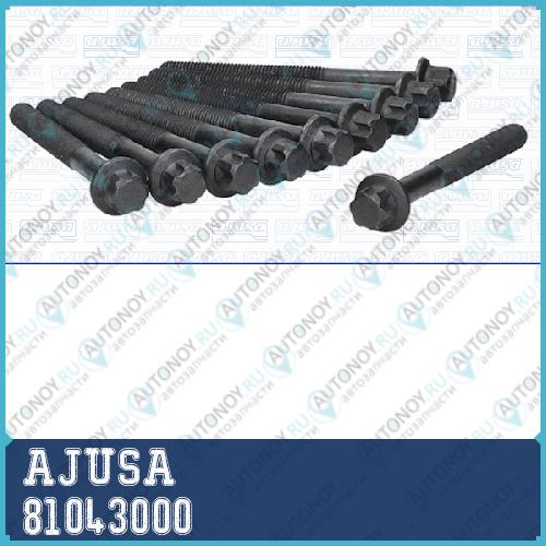 Замена на 81031300 Комплект болтов  81043000