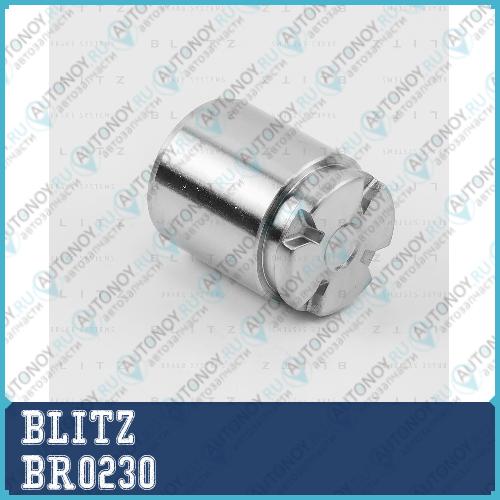 Поршень тормозного суппорта Honda/HYUNDAI/Nissan/TOYOTA BR0230