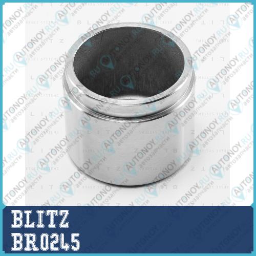 Поршень тормозного суппорта SUZUKI/HYUNDAI/KIA BR0245