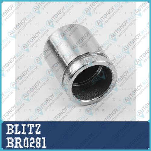 Поршень тормозного суппорта Honda BR0281