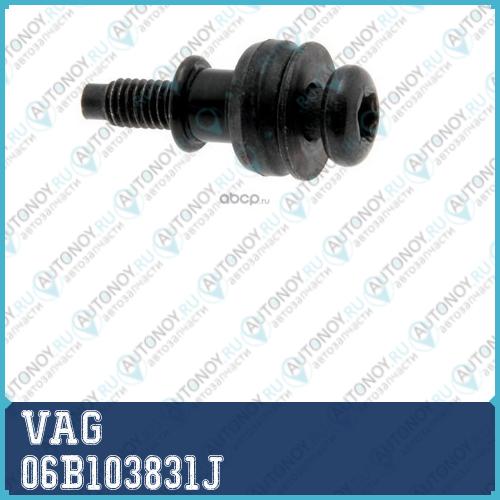 Болт крепления клапанной крышки 06B103831J