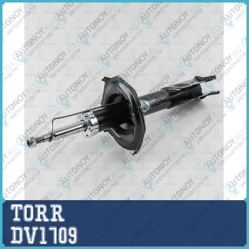 Амортизатор передний газовый Toyota Probox/Succeed 02-> DV1709