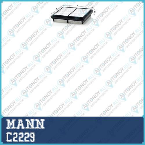 Фильтр воздушный C2229