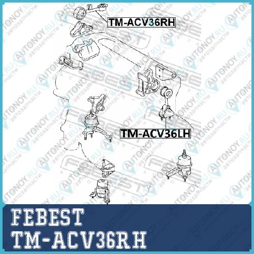 Подушка двигателя правая TOYOTA CAMRY ACV3#/MCV3# 2001-2006 TM-ACV36RH