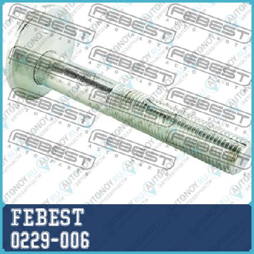 Болт с эксцентриком Nissan TRUCK D22 1997- 0229-006